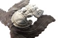 100_6401.JPG