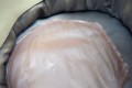 100_6538.JPG