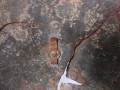IMG_6292.JPG