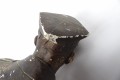 100_7833.JPG