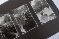 100_8628.JPG