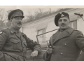 Bez nazwyeweww22dds.png