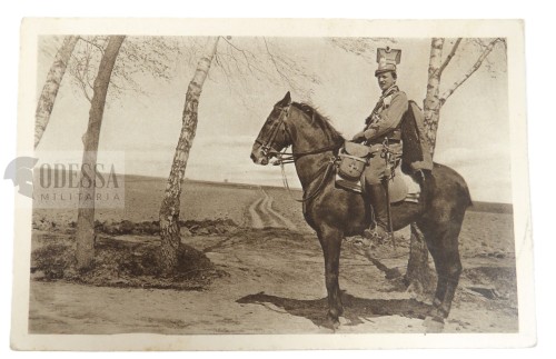 BIELINIACY UŁAN 1915