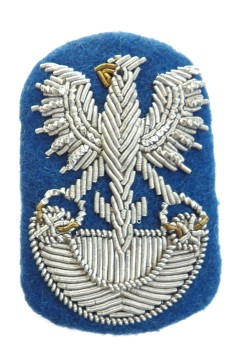 ORZEŁ 7 Łużyckiej Dywizji Desantowej