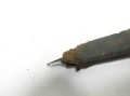 IMG_1195.JPG