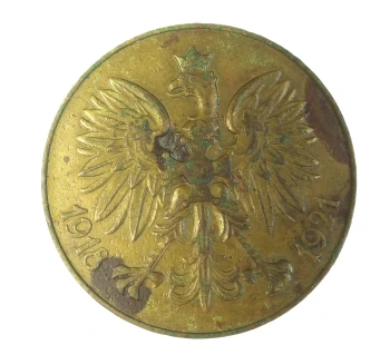 1918-1921 MEDAL POLSKA SWEMU OBROŃCY 