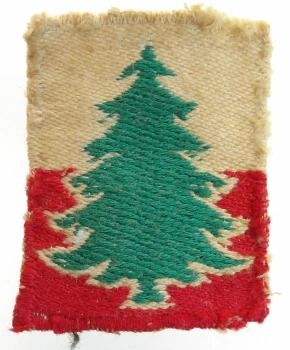 EMBLEMAT NARAMIENNY 3 DSK 