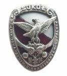  Odznaka Związek Towarzystw Gimnastycznych "Sokół" w Polsce