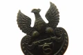 101_1481.JPG