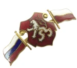 OZNAKA PATRIOTYCZNA 1918