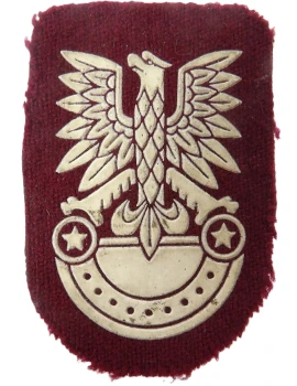 ORZEŁ BERETOWY DESANT 6PDPD    