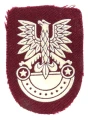 ORZEŁ BERETOWY DESANTU 6PDPD