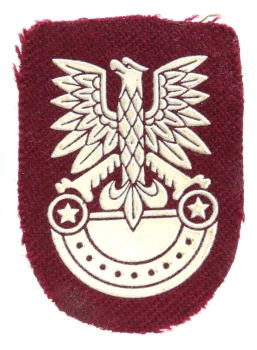ORZEŁ BERETOWY DESANTU 6PDPD  