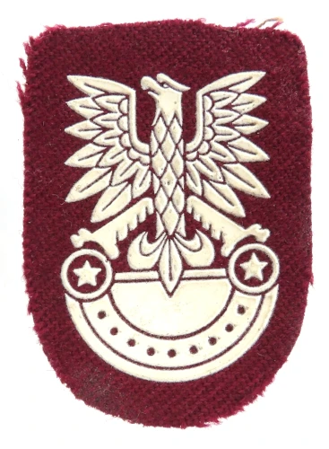 ORZEŁ BERETOWY DESANTU 6PDPD