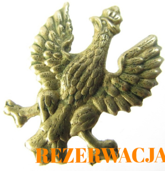 ORZEWŁ WZ.19