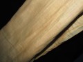 IMG_9894.JPG